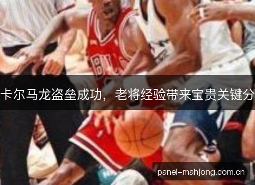 卡尔马龙盗垒成功，老将经验带来宝贵关键分